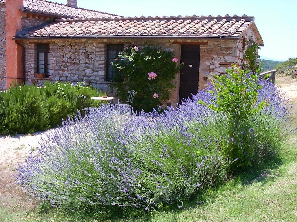 Podere Costa Romana นาร์นี ภายนอก รูปภาพ