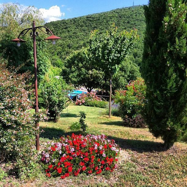 Podere Costa Romana นาร์นี ภายนอก รูปภาพ