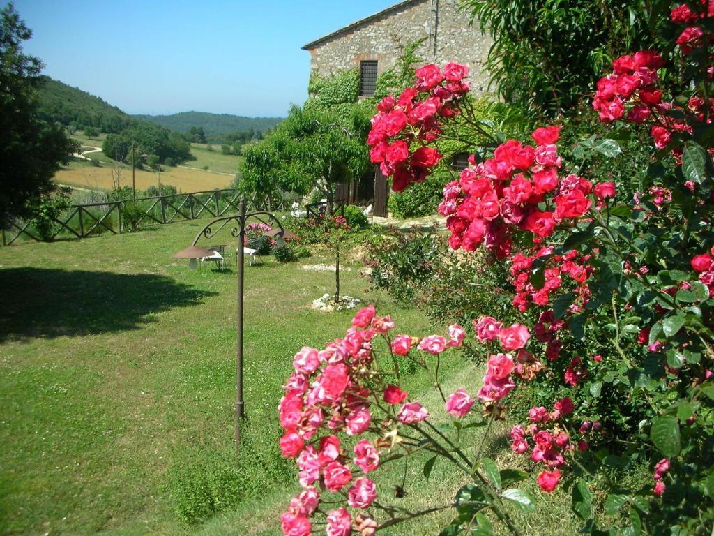 Podere Costa Romana นาร์นี ภายนอก รูปภาพ
