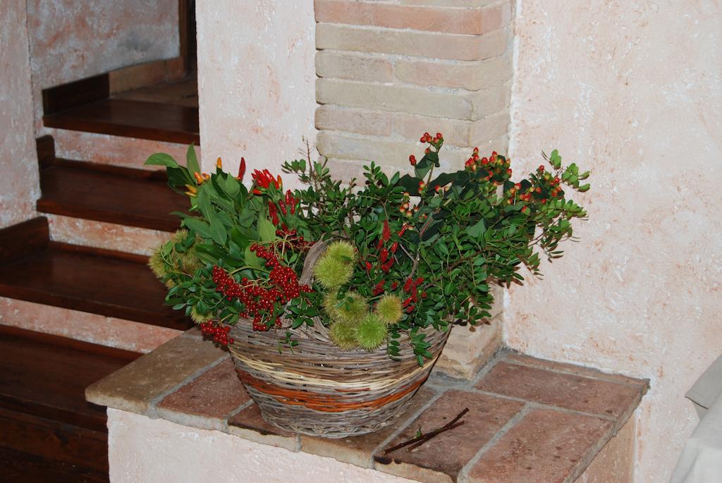 Podere Costa Romana นาร์นี ภายนอก รูปภาพ